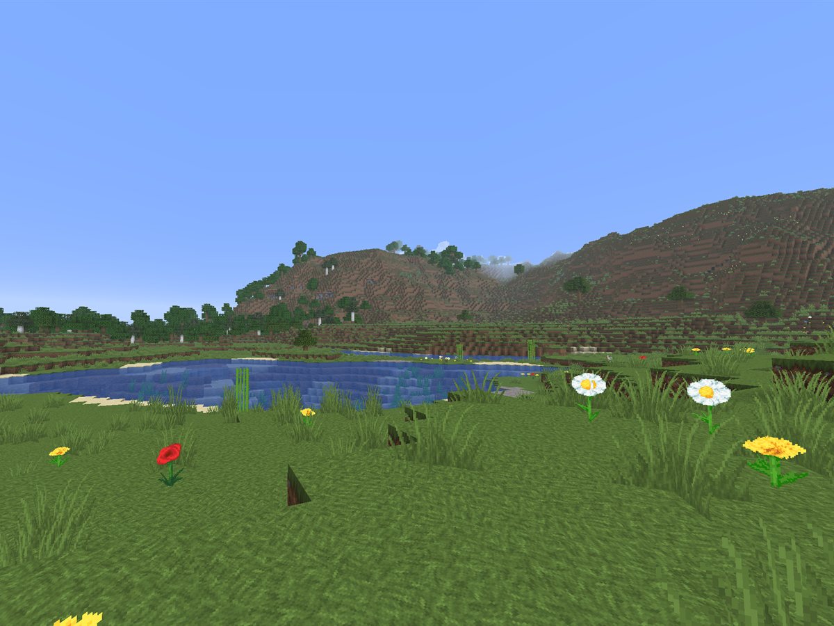 Screenshot vom Server: Wiese mit Blumen, ein kleiner See und Hügel, direkt nach dem RTP